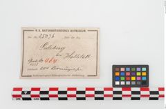 Etiketten zu Bronzenägel (NHMW-PRAE-025076)